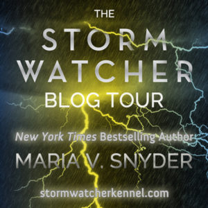 stormwatcher_blogtour_mvs